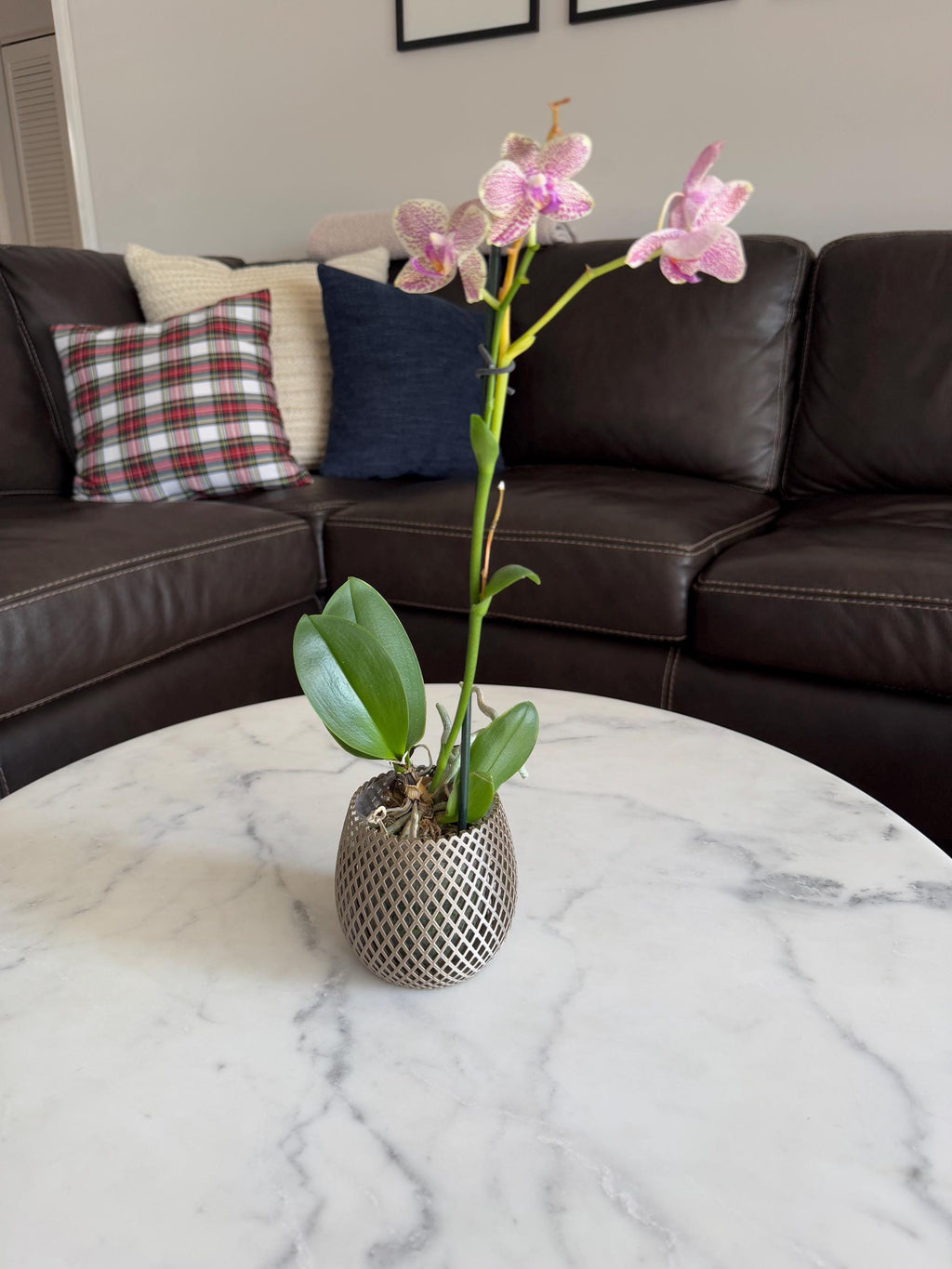 Decorative Vase Orchid Planter or Tea Light Candle Holder Lattice Table Vase for Flowers