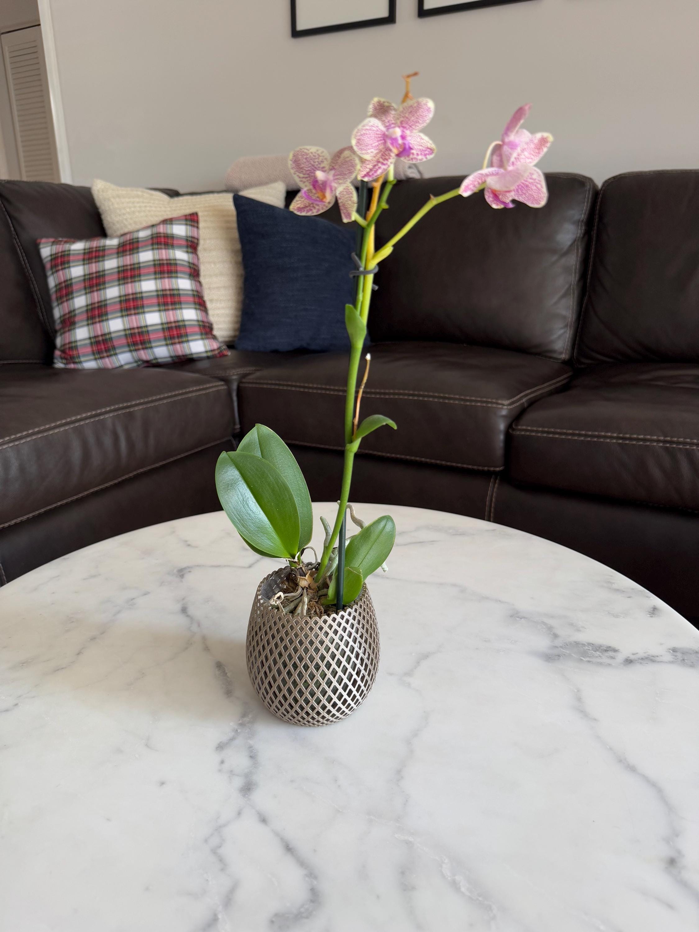 Decorative Vase Orchid Planter or Tea Light Candle Holder Lattice Table Vase for Flowers